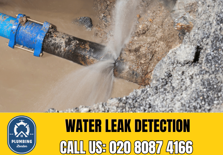 leak detection Ilford